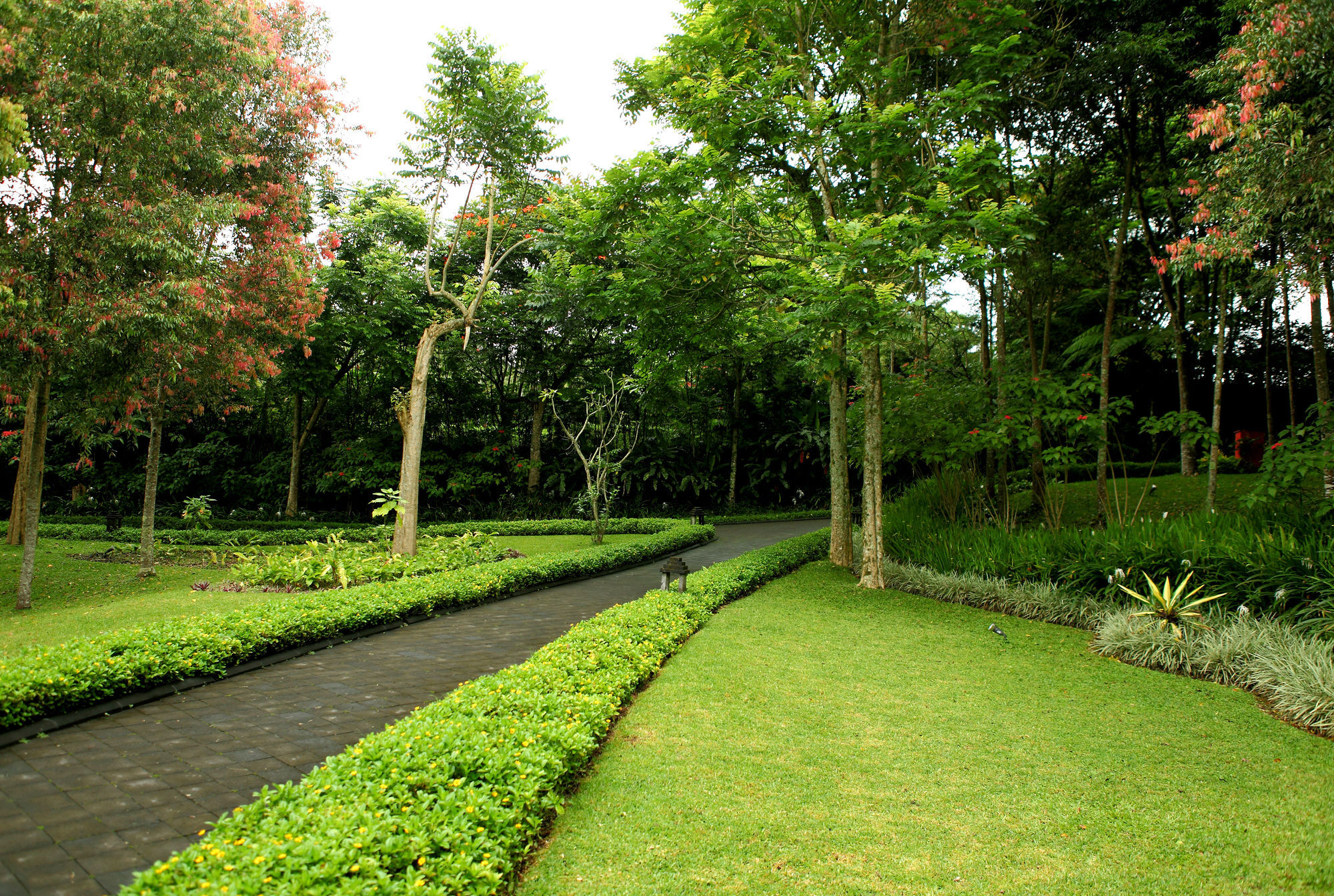Villa Puri Candikuning Baturiti Eksteriør bilde